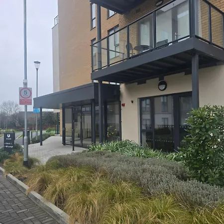 Gracian Omb Coolmine