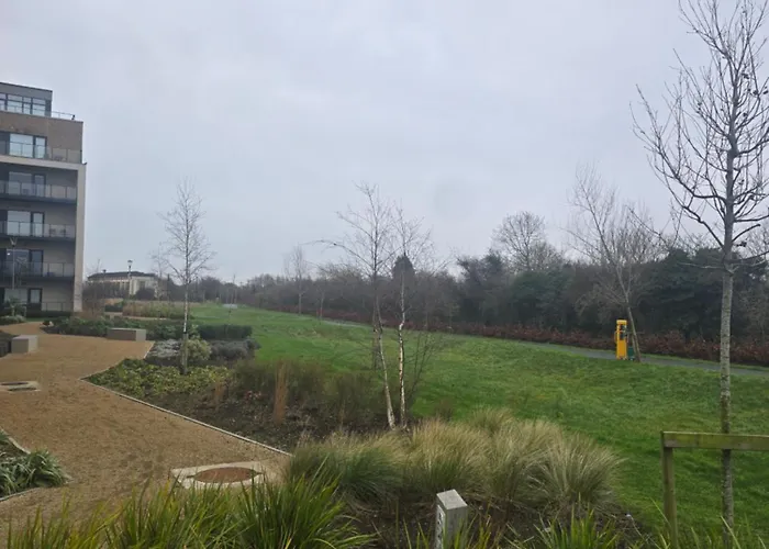 Gracian Omb Coolmine * ダブリン